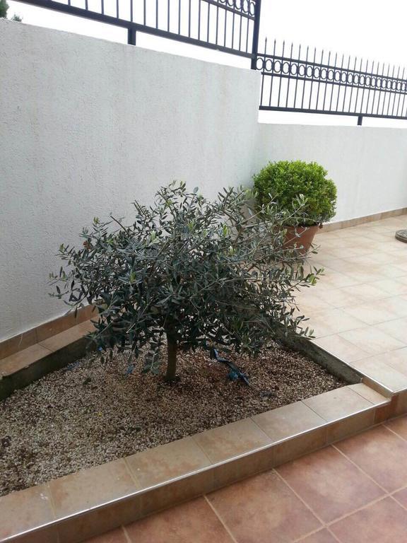 Apartments Sveti Stefan-Marko エクステリア 写真